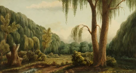 Palermon metsä